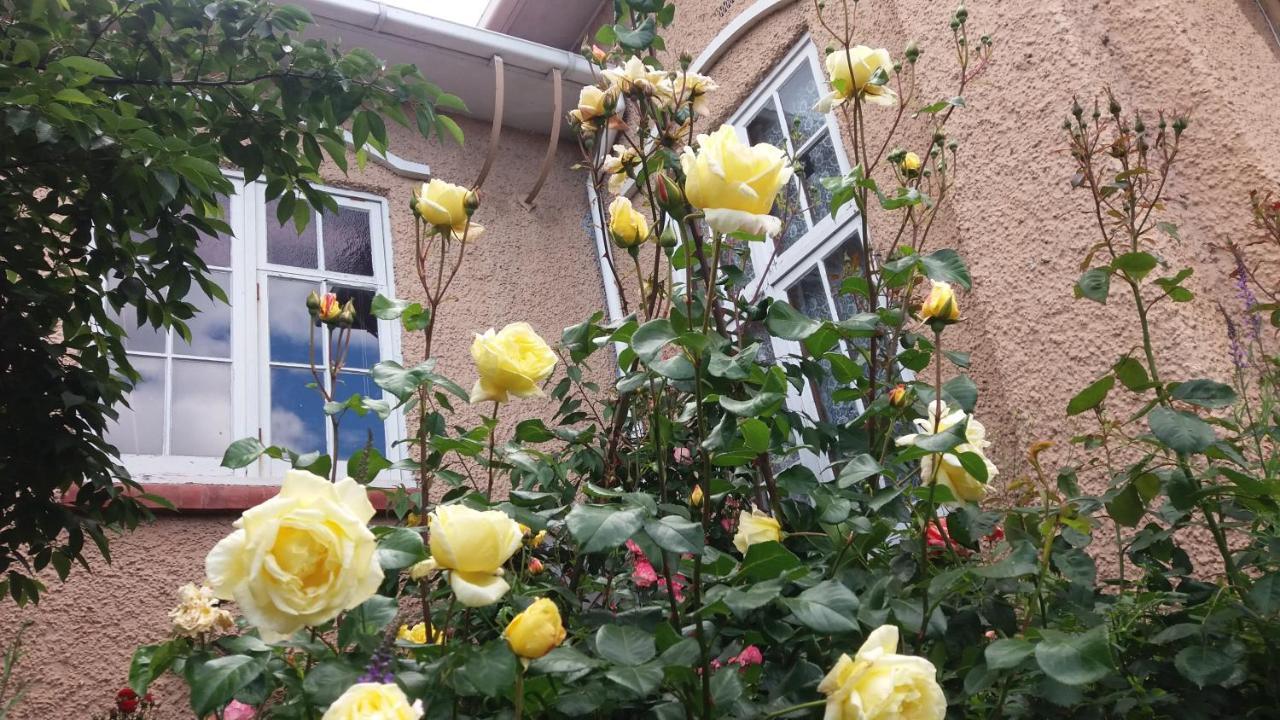 Chimneys B&B Oamaru Ngoại thất bức ảnh